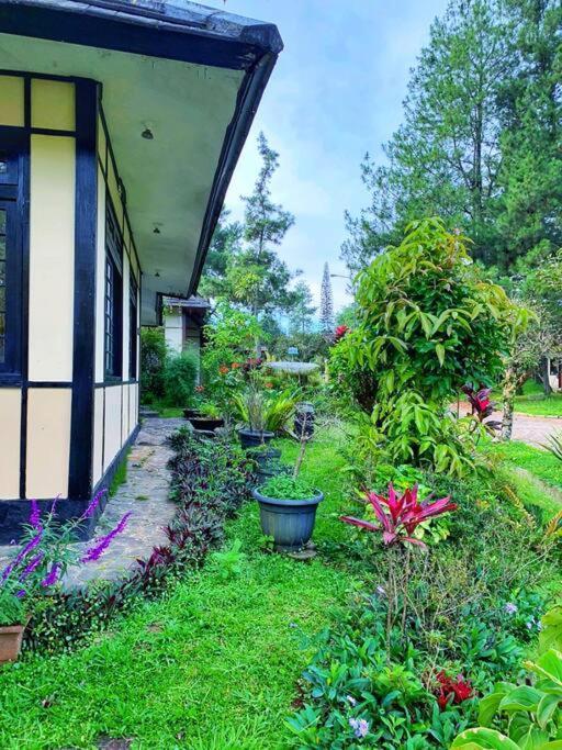 Designer Villa Osaka Puncak Exterior foto