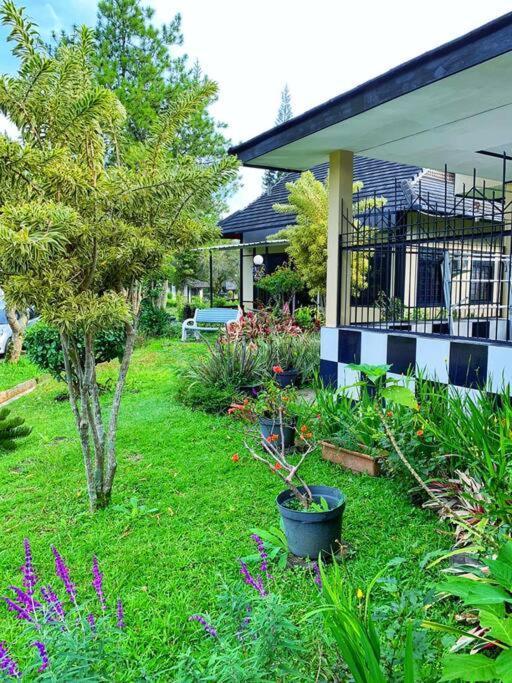 Designer Villa Osaka Puncak Exterior foto